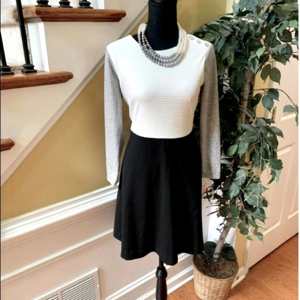 Ann Taylor Loft Long Sleeve A-line Knit Dress SZ 4